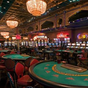 kuda55